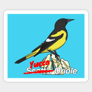 No Eponyms: Yucca Oriole Magnet